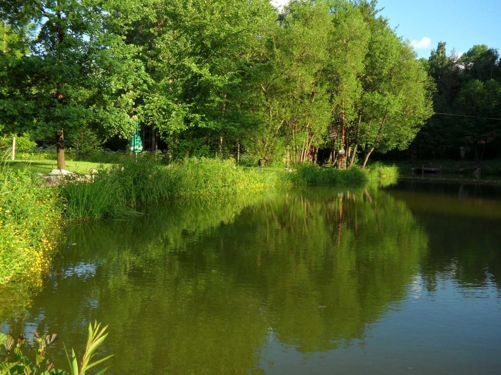 Aranybánya Üdülőpark kert és tó